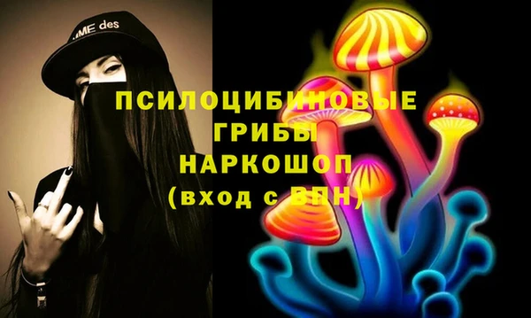 a pvp Богородск
