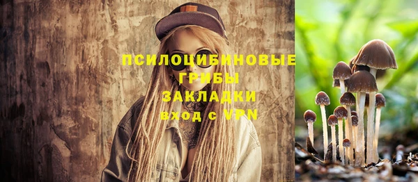 экстази Богородицк
