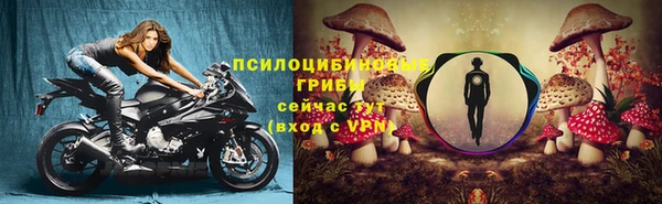 a pvp Богородск