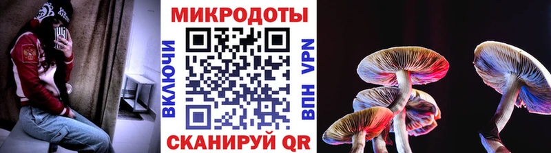 блэк спрут зеркало  Челябинск  Псилоцибиновые грибы прущие грибы 